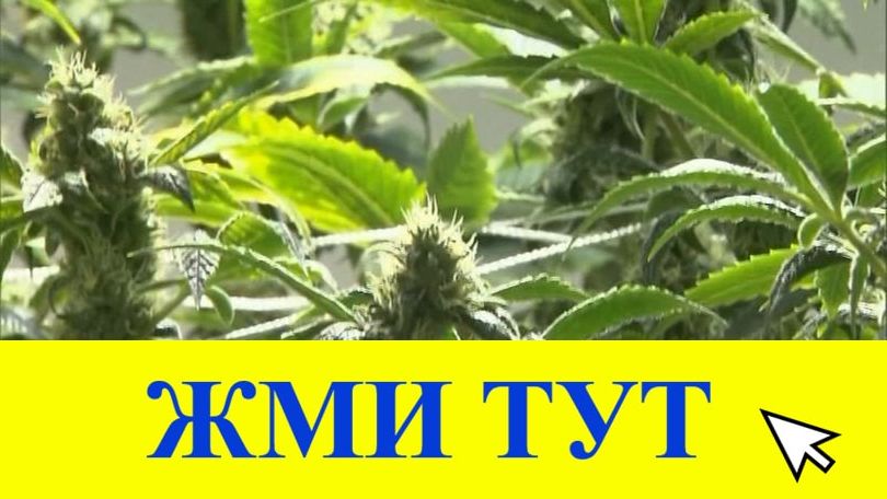 Купить наркотики в Тулуне